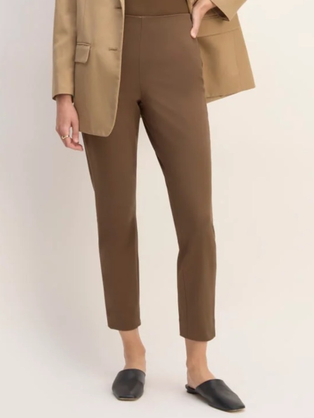 Everlane Slim Cropped Ankle Pants in Brown